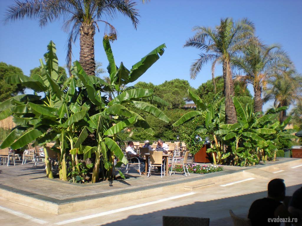 Hotel IC Green Palace | 4