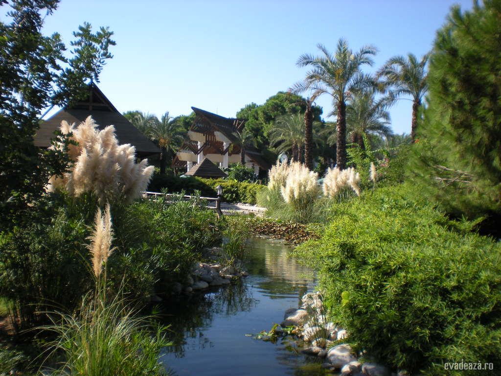 Hotel IC Green Palace | 5