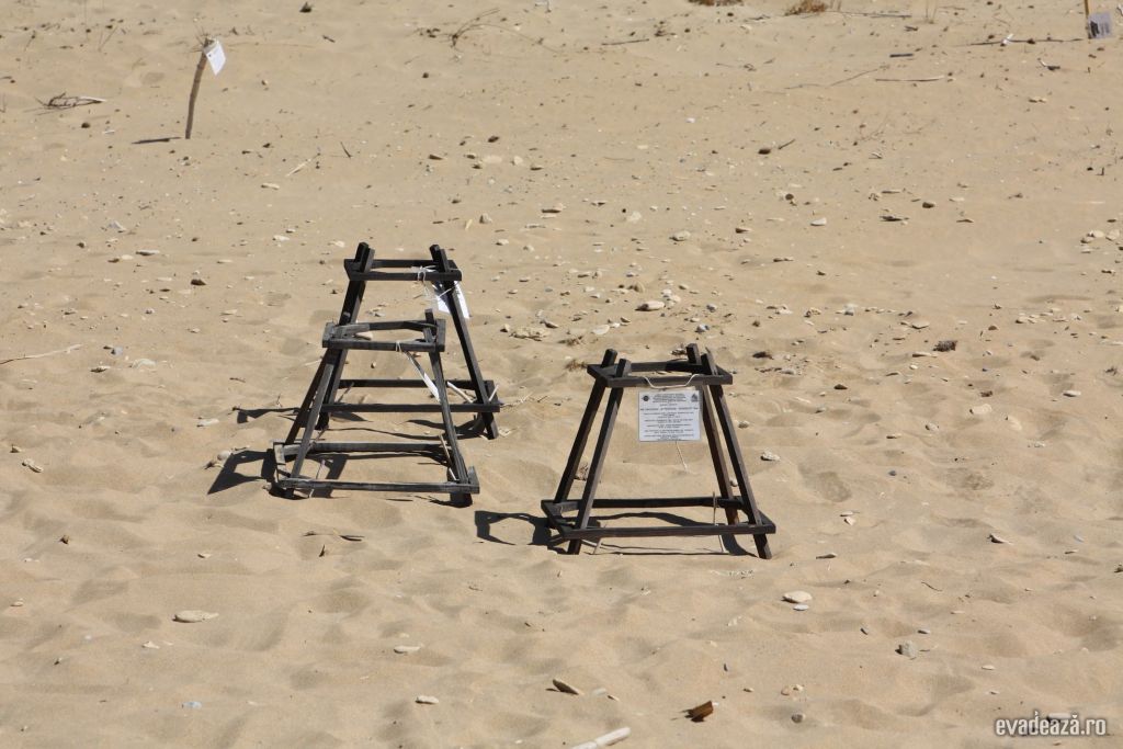 Zakynthos, Gerakas beach | 3