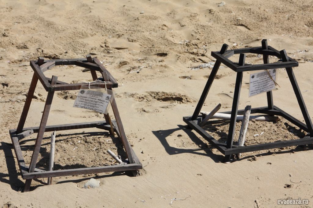 Zakynthos, Gerakas beach | 4