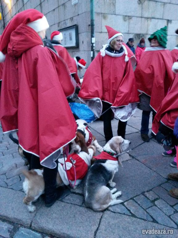 Țara luk Moş Crăciun