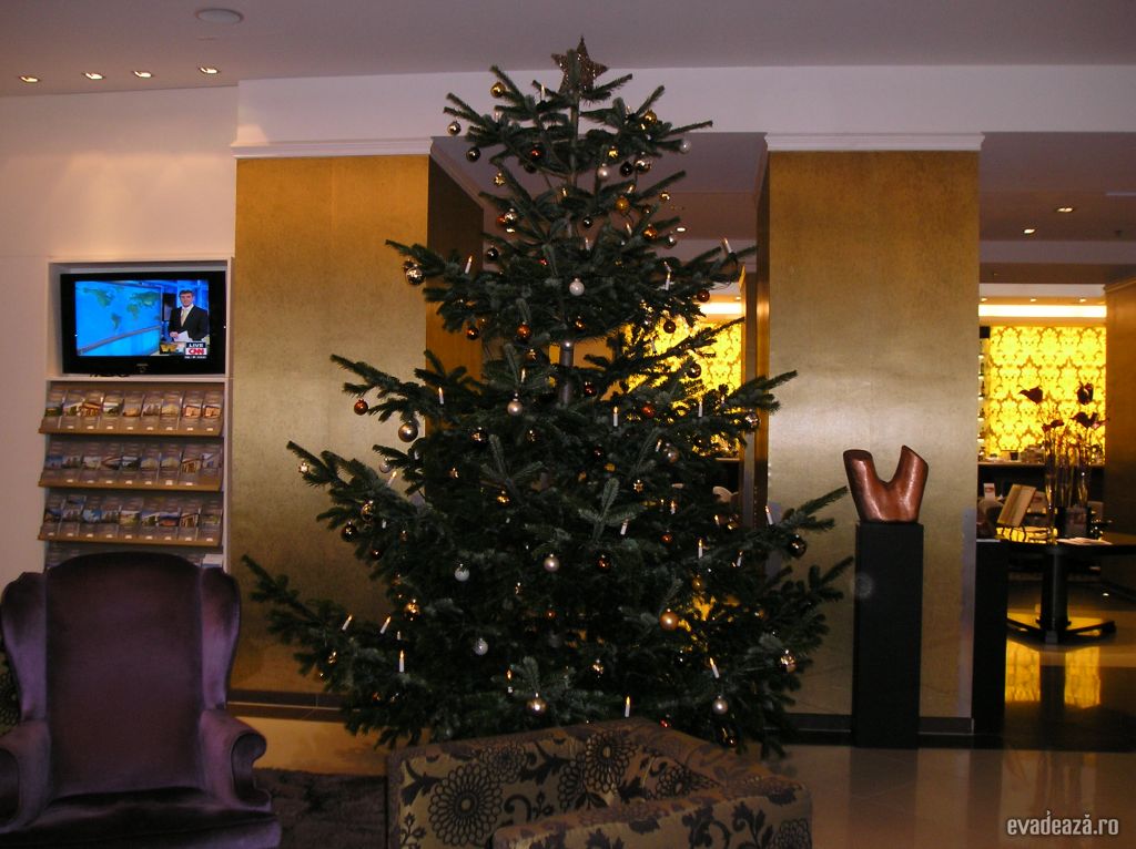 Steigenberger Herrenhof Hotel | 3