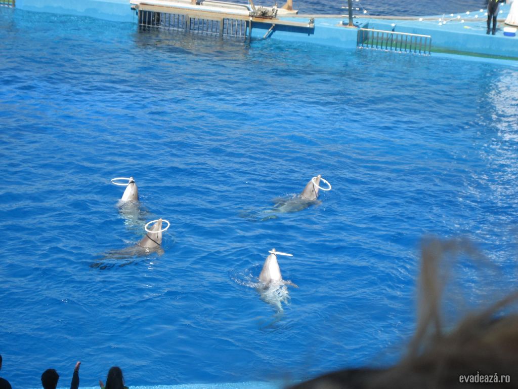 Oceanograf Valencia | 2