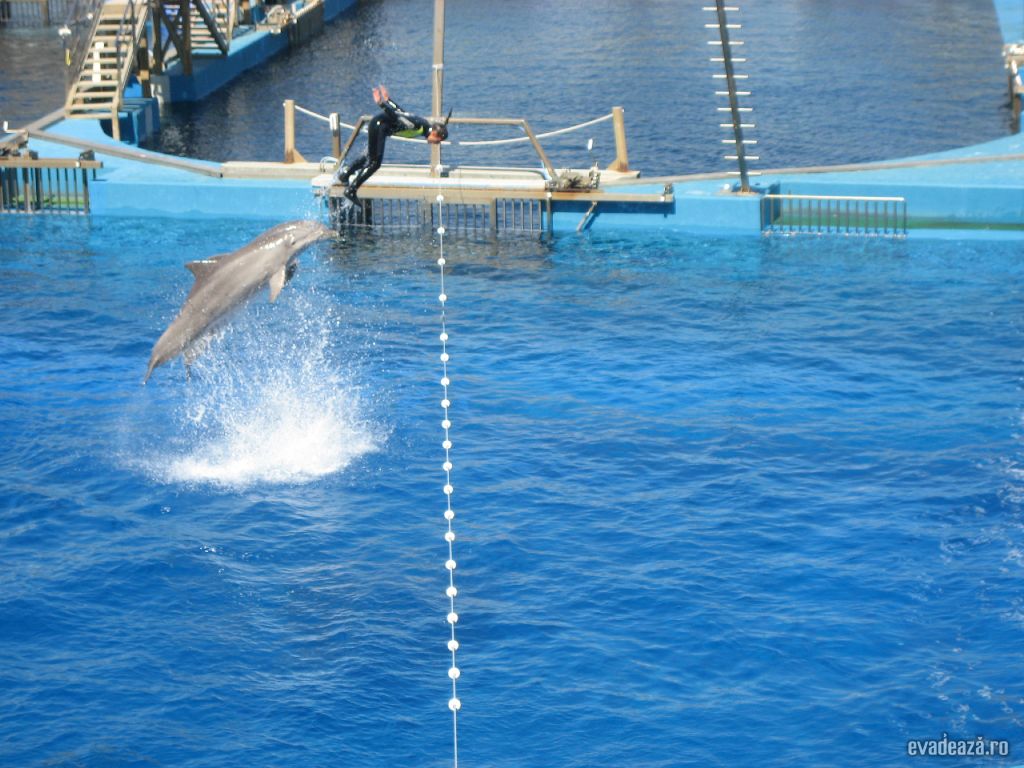 Oceanograf Valencia | 3