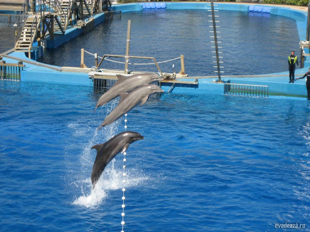 Oceanograf Valencia | 4