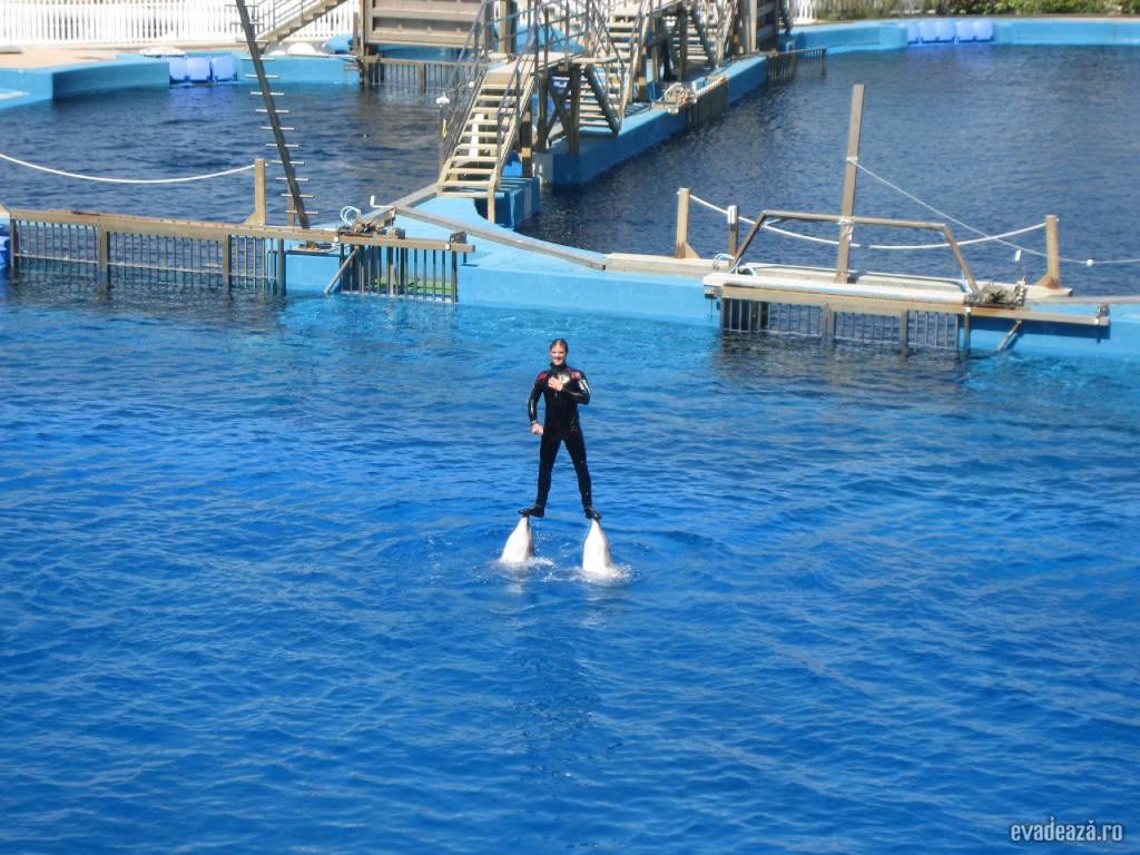 Oceanograf Valencia | 5