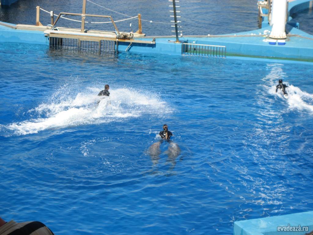 Oceanograf Valencia | 6