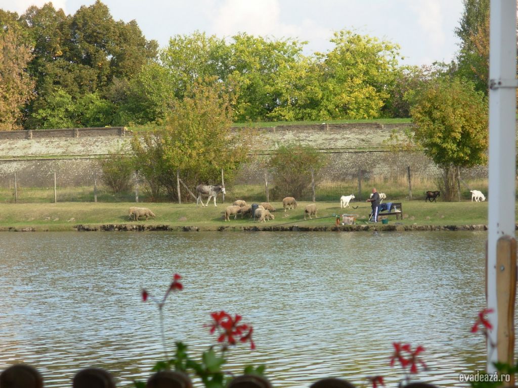 Restaurantul Jobb Mint Otthon Szeged | 4