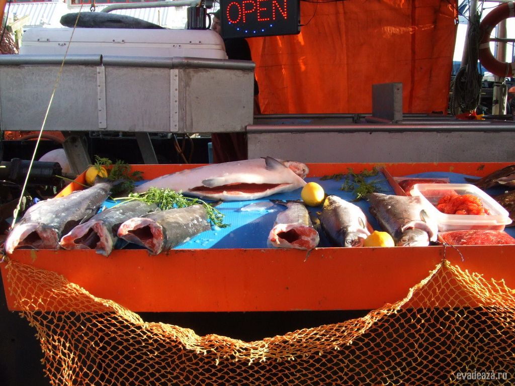 Steveston Harbour, Vancouver | 1