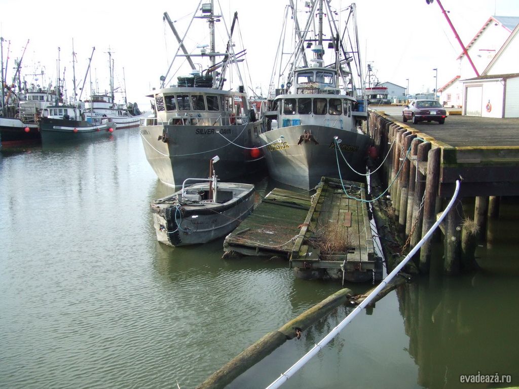 Harbour Vancouver | 1