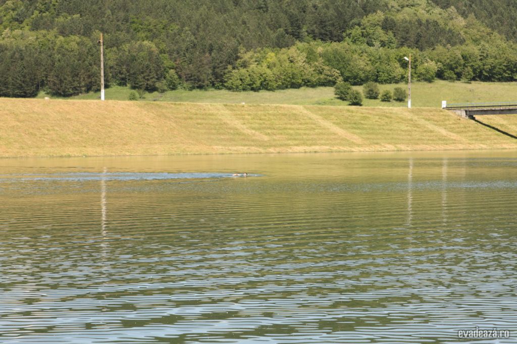 Barajul de la Bezid | 4