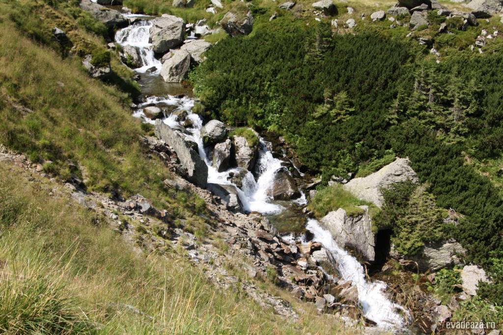 In drum spre Transfagaras | 5