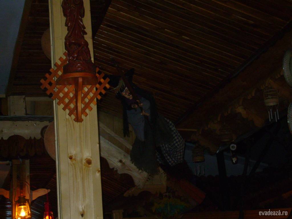 poze interior restaurant | 3