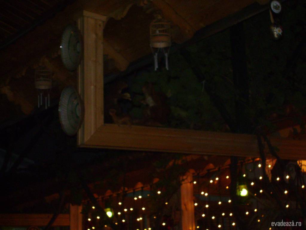 poze interior restaurant | 4