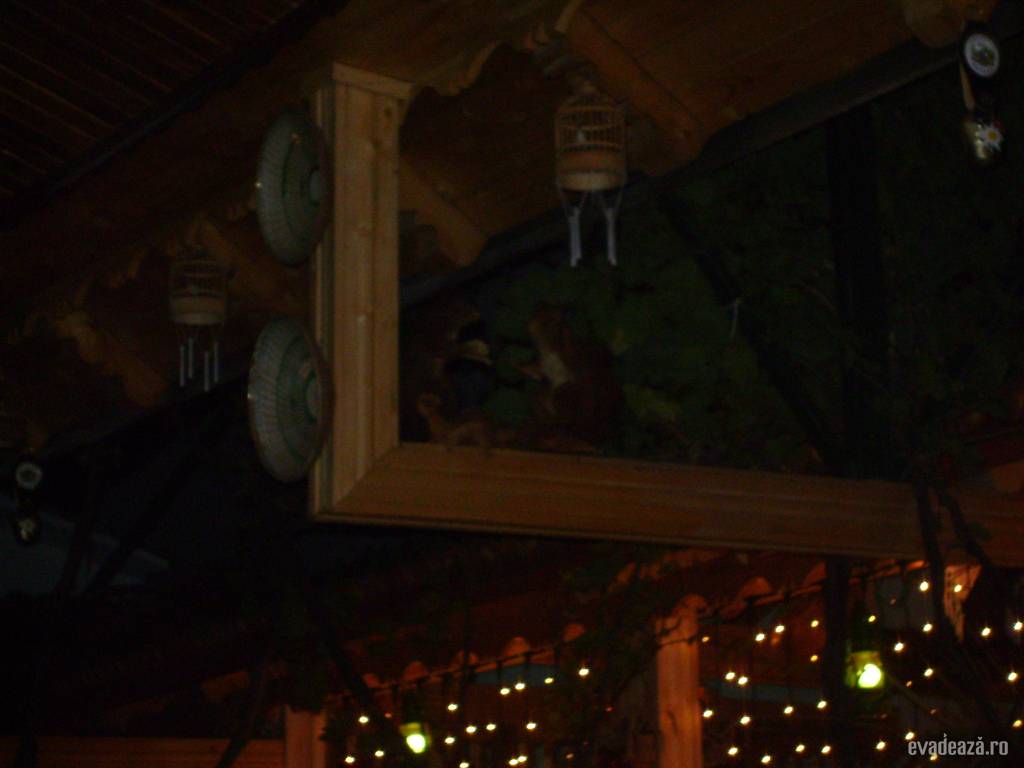 poze interior restaurant | 5