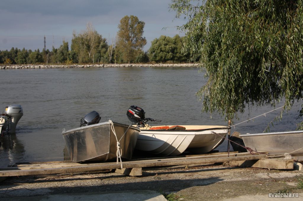 Delta Dunarii - Crisan | 2