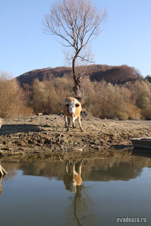 O partida de vis la Salau, Bezid | 6