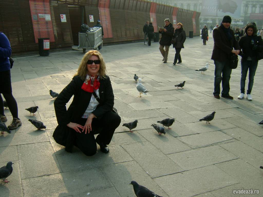 Piata San Marco- porumbeii