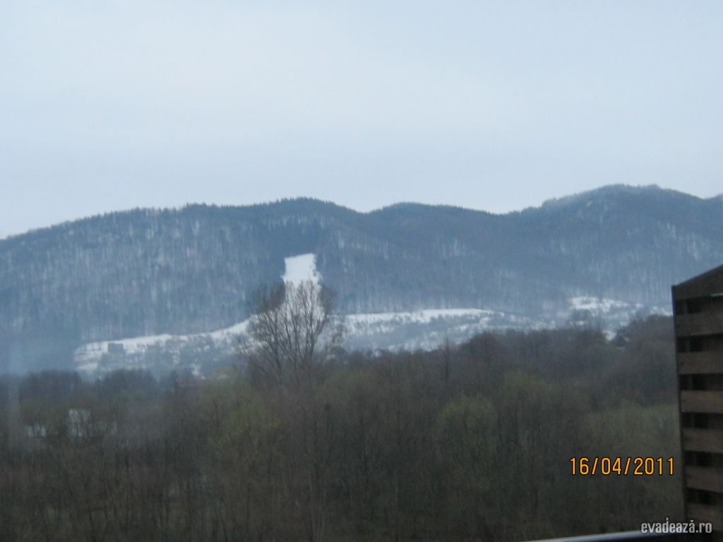 VEDERE SPRE MUNTE  WOLF 