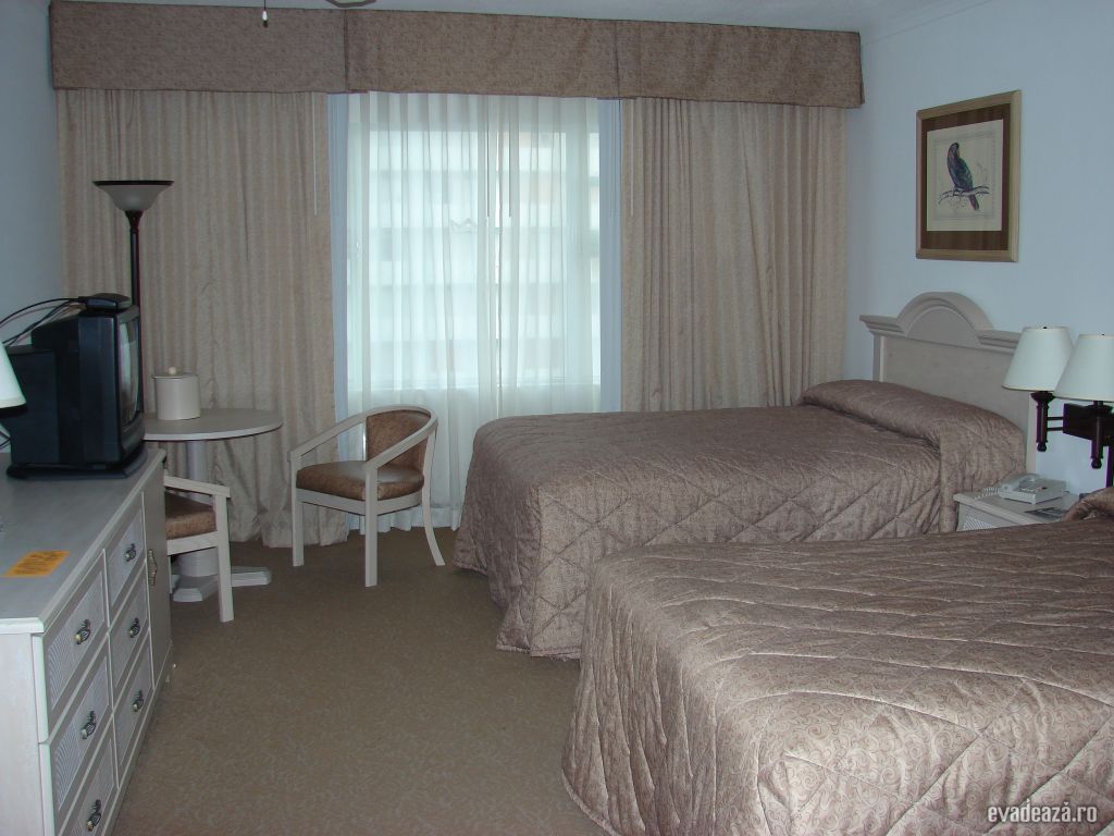 Riu Florida Beach Hotel | 5