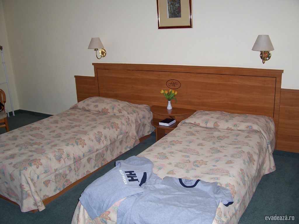 Tulip Inn Millenium | 3