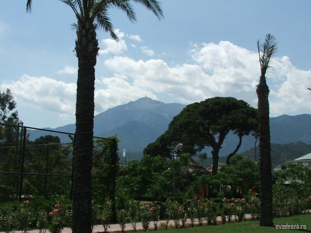 Hotel Asdem Beach | 2