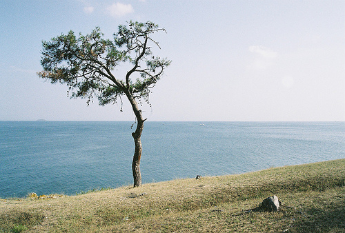 Insule - La Rochelle | 1