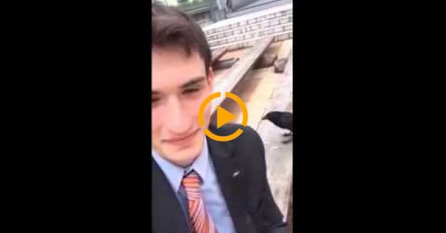 Crow Thinks He's Sneaky