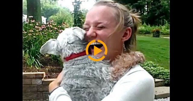 Dog Passes Out From Overwhelming Joy