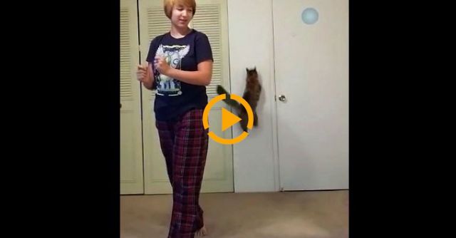 Demon Cat Interfering Let It Go Act!