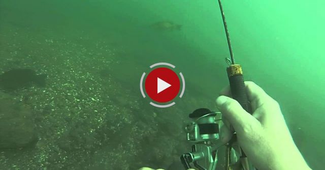 Upper Niagara River Underwater Fishing Wicked Bass Hit.