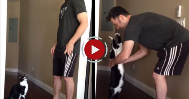 Best Kitty Hug Ever!