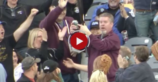 Amazing One-Handed Catch Of Flying Bat By A Fan