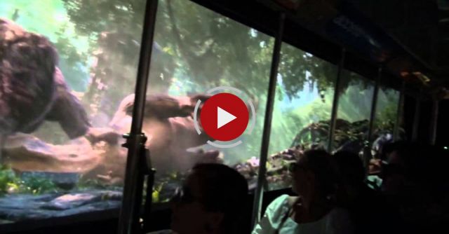 The World´s Largest 3D Experience