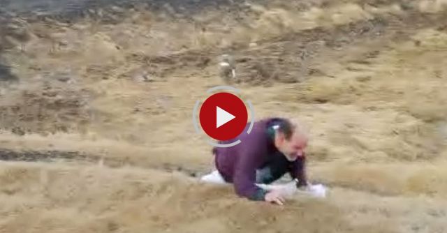 Iceland Windy Beverage