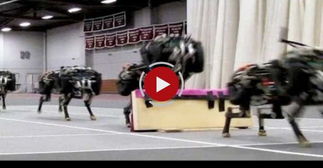 MIT Cheetah Robot Lands The Running Jump
