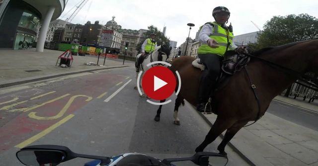 Suzuki GSXR Wheelie And Busted By Police On A Horse In Central London