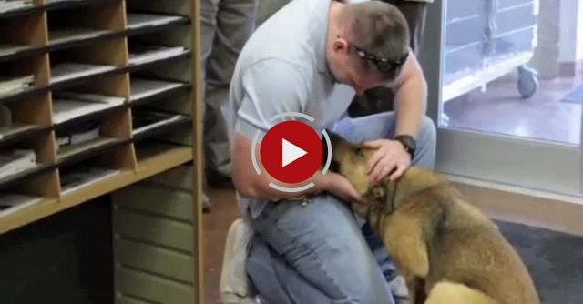 Lost Dog Dora Reunited With Family After Seven Months!