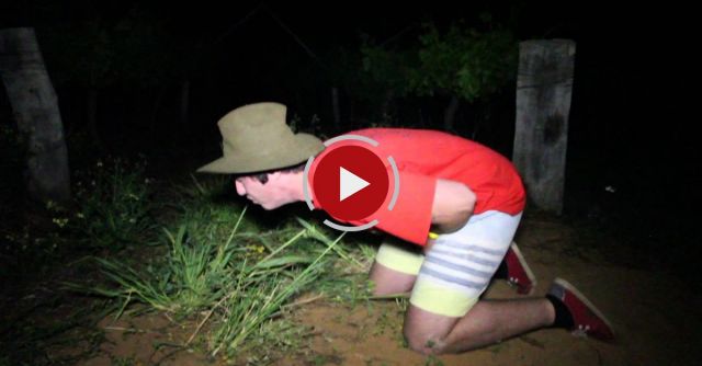 Potato Cannon Nutshot