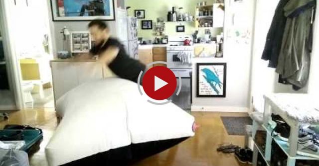 Worlds Largest Functioning Whoopee Cushion... And My Thoroughly Unimpressed Cat