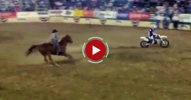Horse Vs Dirtbike