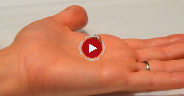 Miniature Origami Robot Self-folds, Walks, Swims, And Degrades