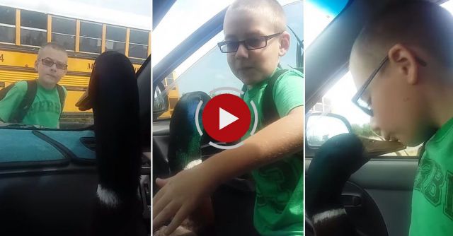 Nibbles Waits For Jonny