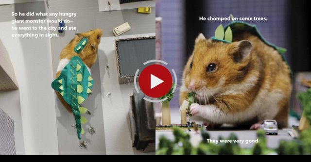 Tiny Hamster Is A Giant Monster!! 