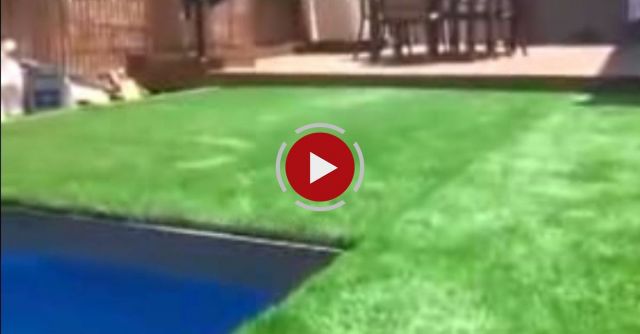 Amazing Under Ground Swimming Pool