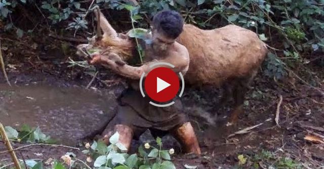 Wild Animals Caught Barehanded