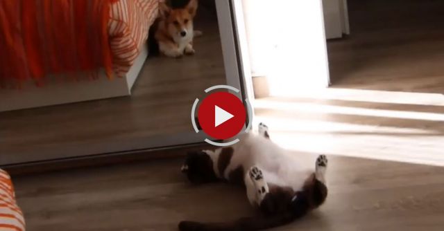 A Little Privacy Please...