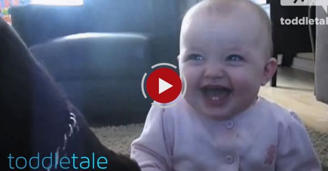 Baby Girl Laughing Hysterically At Dog Eating Popcorn