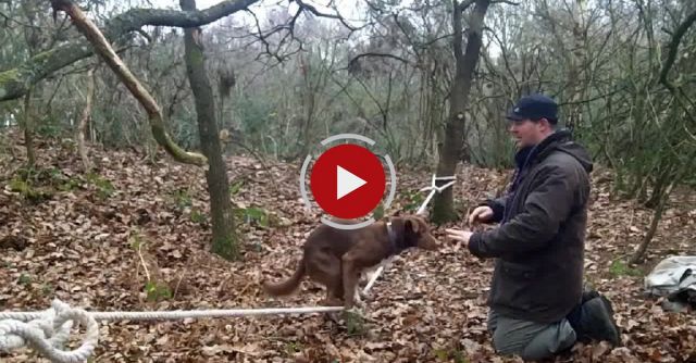 Amazing Acrobatic Dog - Slackline