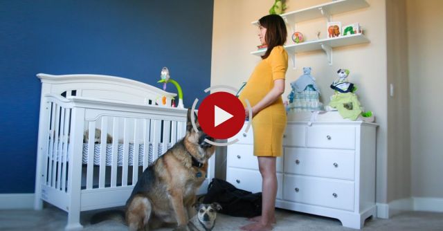 Time Lapse: Pregnant To Baby In 90 Seconds. Photo A Day.